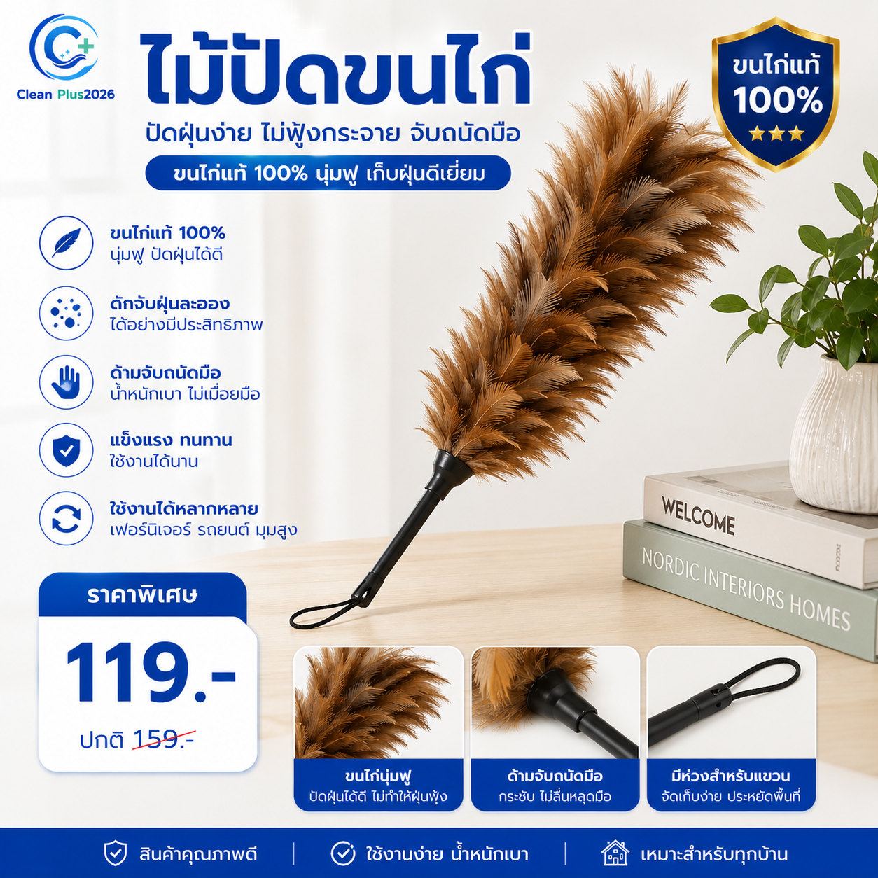 ไม้ปัดขนไก่